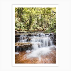 Forest Waterfall Art Print