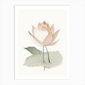 Early Lotus Pencil Illustration 4 Art Print