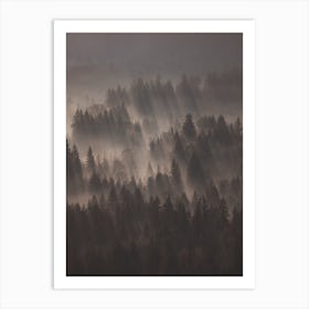 Nature Forest Scenery Art Print