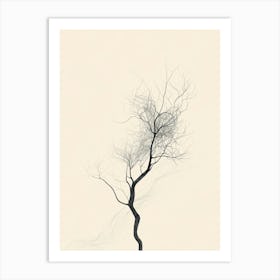 Bare Tree 8 Art Print