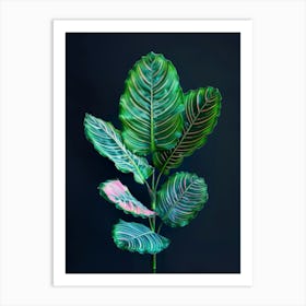 Fern Leaves Art Print