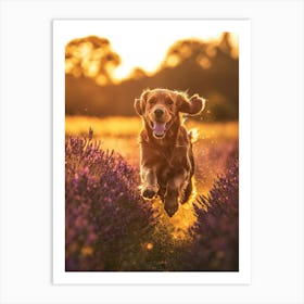 Golden Retriever In Lavender Field. Generated AI. Art Print Art Print