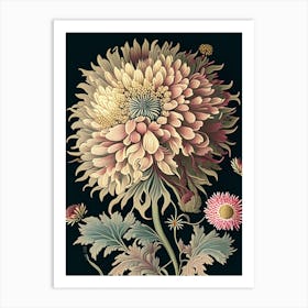 Chrysanthemum 3 Floral Botanical Vintage Poster Flower Art Print