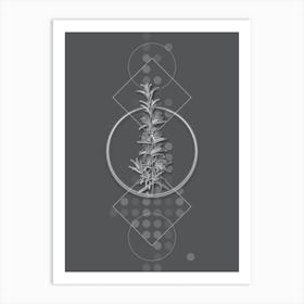 Vintage Rosemary Botanical with Line Motif and Dot Pattern in Ghost Gray n.0068 Art Print
