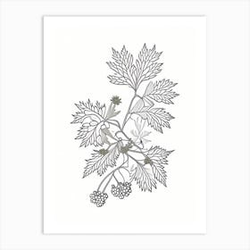 Hawthorn Herb William Morris Inspired Line Drawing 1 Art Print