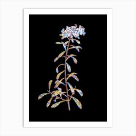 Stained Glass Small White Flowers Mosaic Botanical Illustration on Black n.0130 Art Print