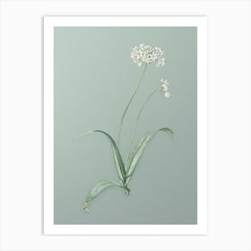 Vintage Spring Garlic Botanical Art on Mint Green n.0422 Art Print