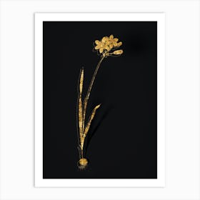 Vintage Galaxia Ixiaeflora Botanical in Gold on Black n.0285 Art Print