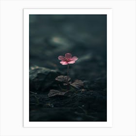 Flower In The Dark 51 Art Print