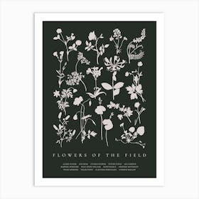 Flowers Of The Field, flower silhouettes. Art Print