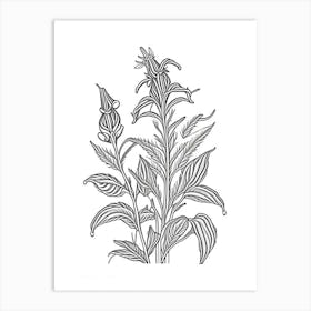 Comfrey Herb William Morris Inspired Line Drawing 3 Art Print