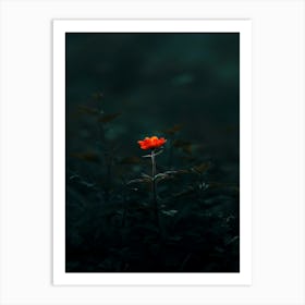 Single Flower In The Dark 86 Art Print