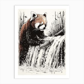 Red Panda Catching Fish In A Waterfall Ink Illustration 1 Art Print