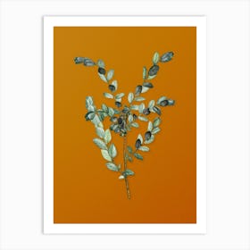 Vintage Creeping Willow Botanical on Sunset Orange n.0635 Art Print