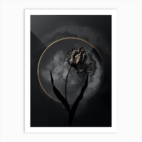 Shadowy Vintage Didier's Tulip Botanical on Black with Gold Art Print