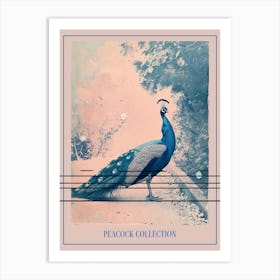 Peacock In The Wild Blue Cyanotype 2 Poster Art Print