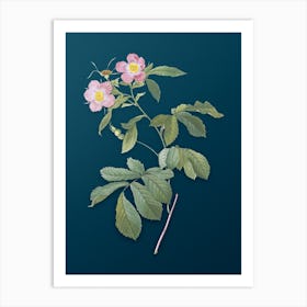 Vintage Pink Alpine Roses Botanical Art on Teal Blue n.0350 Art Print