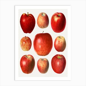 Red Apples Art Print