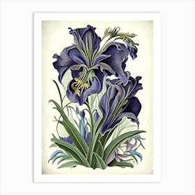 Iris Floral 2 Botanical Vintage Poster Flower Art Print