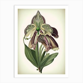 Orchid Leaf Vintage Botanical 1 Art Print