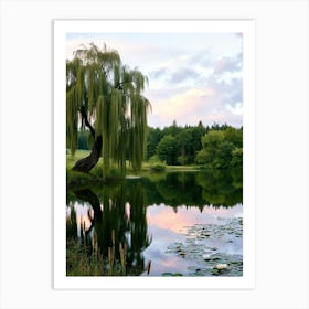 Willow Tree In Pond Art Print