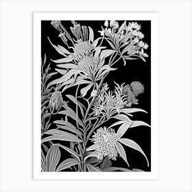 Butterfly Weed Wildflower Linocut Art Print
