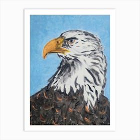 Bald Eagle Art Print