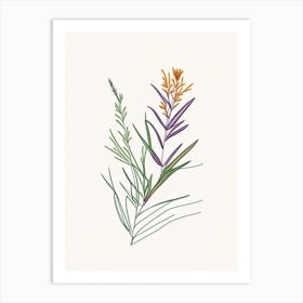 Tarragon Spices And Herbs Minimal Line Drawing Art Print