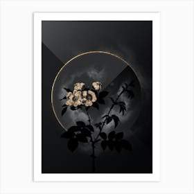 Shadowy Vintage White Rose Botanical in Black and Gold Art Print