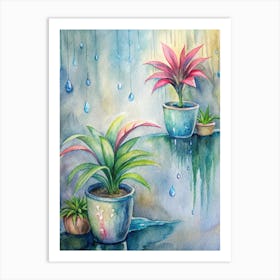 Raindrops On Potted Plants Art Print