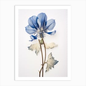 Pressed Flower Botanical Art Aconitum 2 Art Print