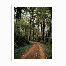 Forest Park Art Print