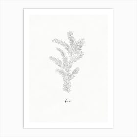 Fir Branch Line Art Art Print