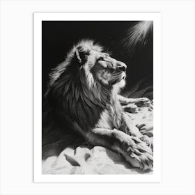 African Lion Charcoal Drawing Resting In The Sun 2 Art Print