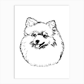 Pomeranian Monoline Drawing Line Art Art Print