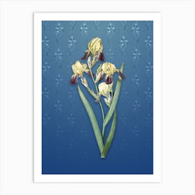 Vintage Elder Scented Iris Botanical on Bahama Blue Pattern n.2309 Art Print
