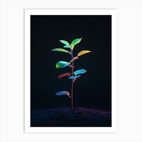 Plant Grows In The Dark 6 Art Print