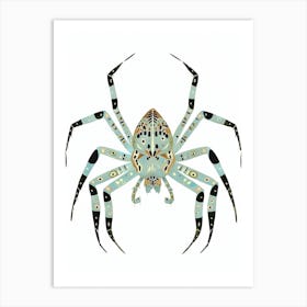 Colourful Insect Illustration Spider 7 Art Print