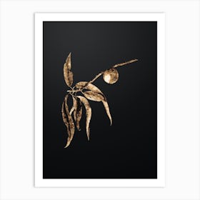 Gold Botanical Peach on Wrought Iron Black n.0724 Art Print