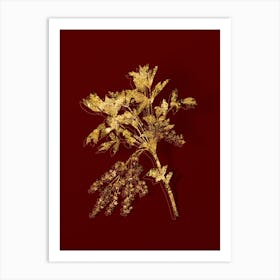 Vintage Shrub Yellowroot Botanical in Gold on Red n.0579 Art Print