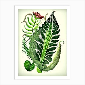 Hart's Tongue Fern Wildflower Vintage Botanical 2 Art Print