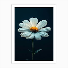 Daisy 18 Art Print