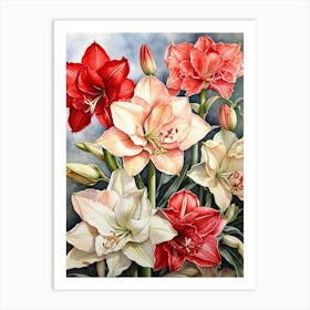 Amaryllis  Art Print