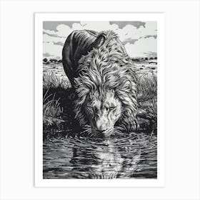 Barbary Lion Relief Illustration Drinking 4 Art Print