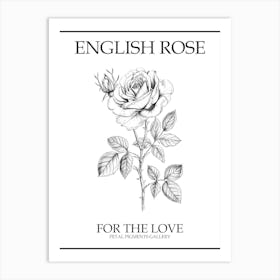 English Rose Black And White Line Drawing 25 Poster Art Print