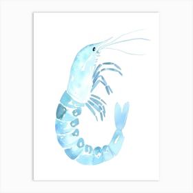 Watercolor Shrimp Illustration 1 Art Print