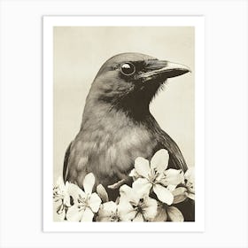 Crow In Bloom Art Print