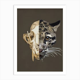 Clouded Leopard Skull Art Print