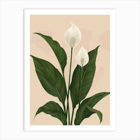 Peace Lily Plant Minimalist Illustration 2 Art Print