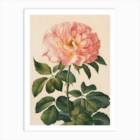 Pink Rose 9 Art Print